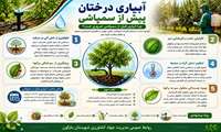 چرا آبیاری درختان پیش از سمپاشی ضروری است؟